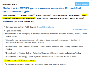 Mutation in MEOX1 gene causes a recessive Klippel-Feil syndrome subtype